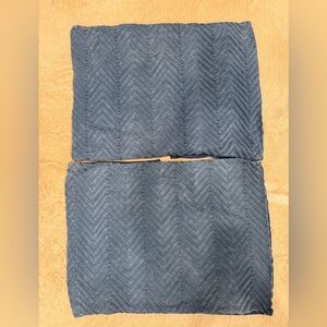 Pottery Barn Teen Chevron patterned pillow shams in blue